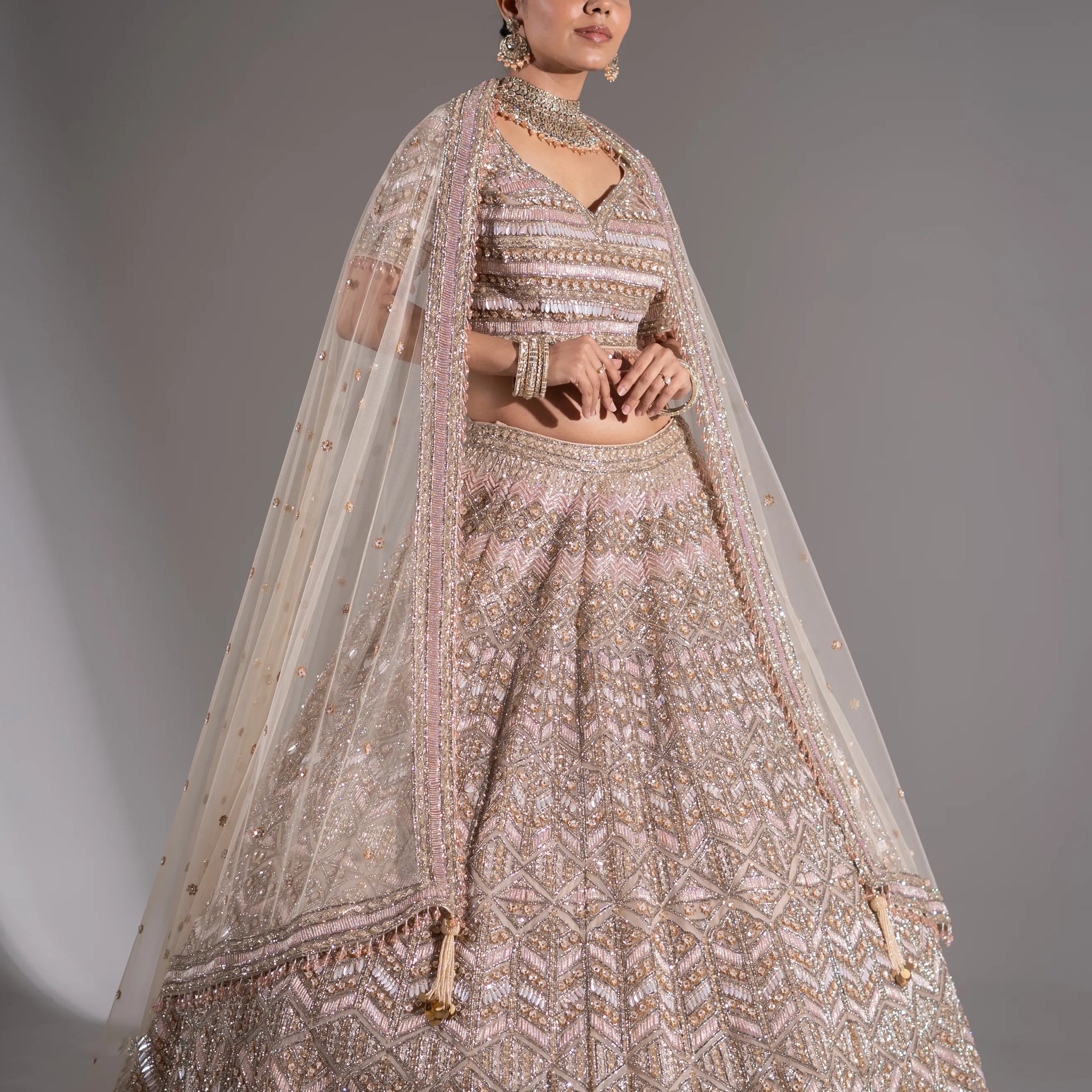 Champagne Blush Art Deco Embellished Lehenga Choli
