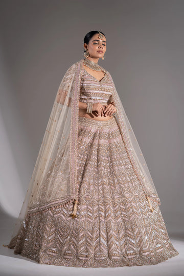 Champagne Blush Art Deco Embellished Lehenga Choli