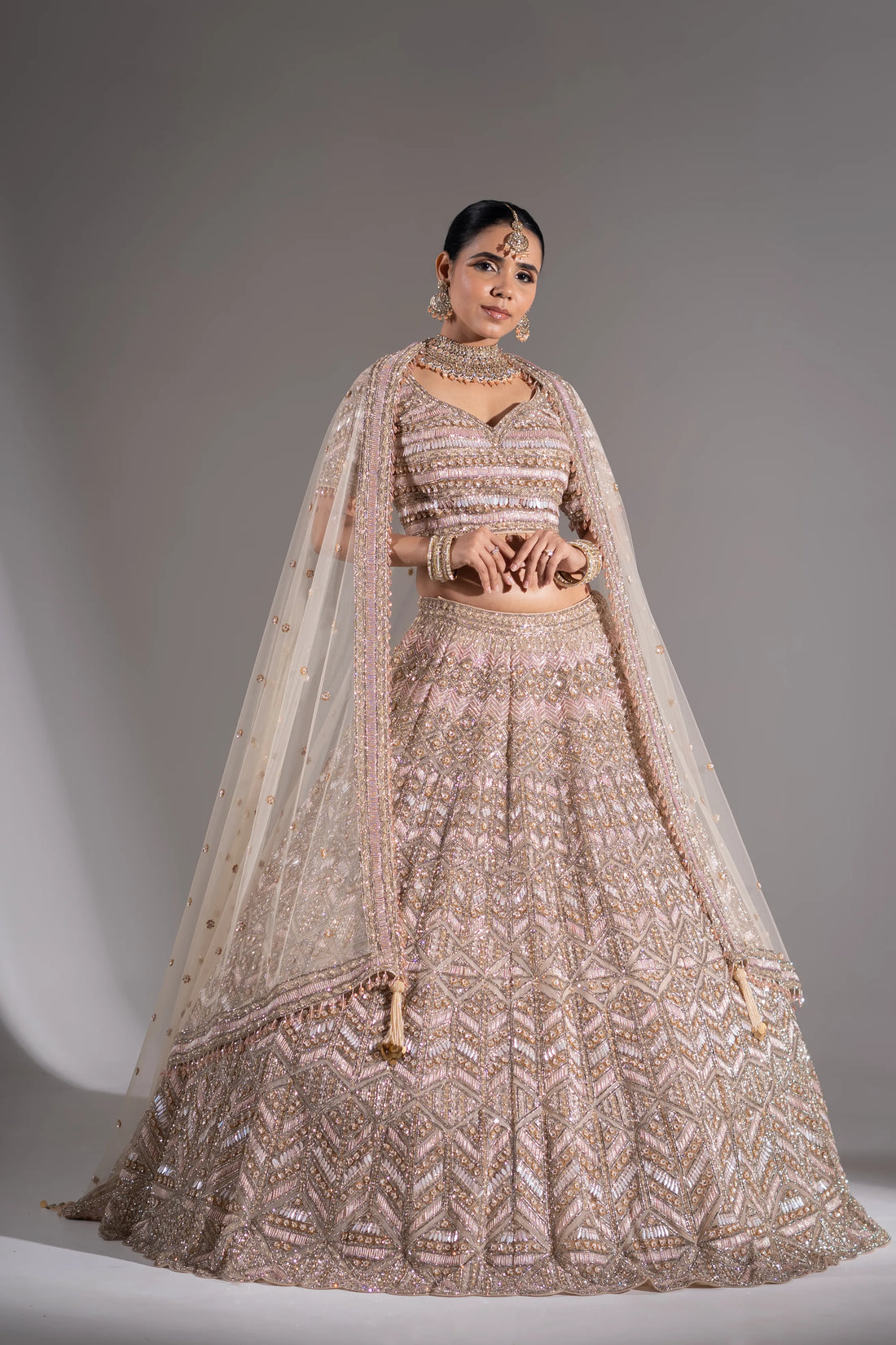 Champagne Blush Art Deco Embellished Lehenga Choli