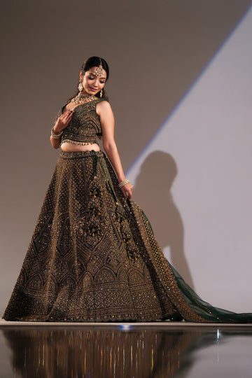 Emerald Whisper Lehenga Choli