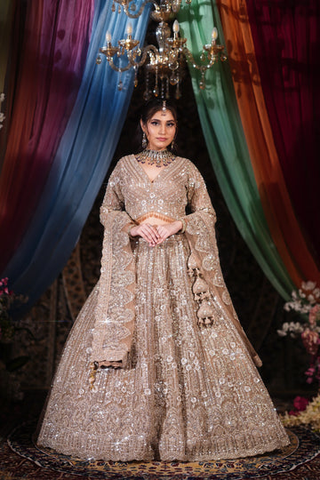 Champagne Beige 3D Floral & Crystal Embroidered Lehenga Set