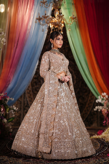 Blush Aurora Lehenga Choli