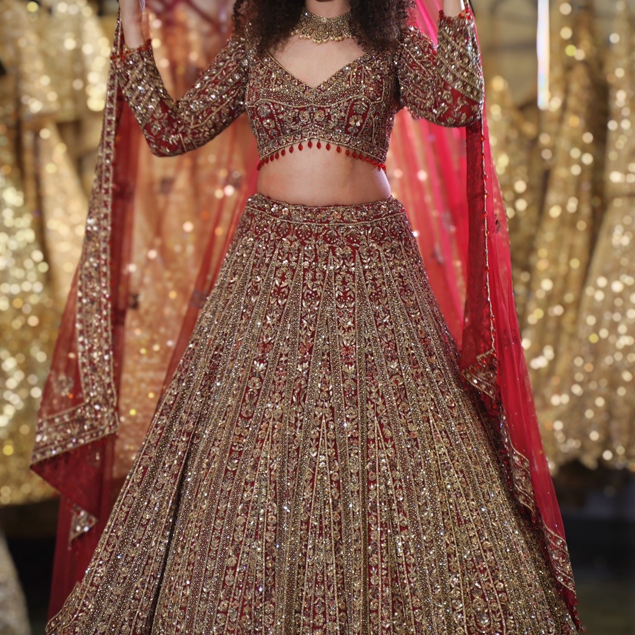 Deep Red Heavy Zardosi & Vertical Panel Embroidered Bridal Lehenga