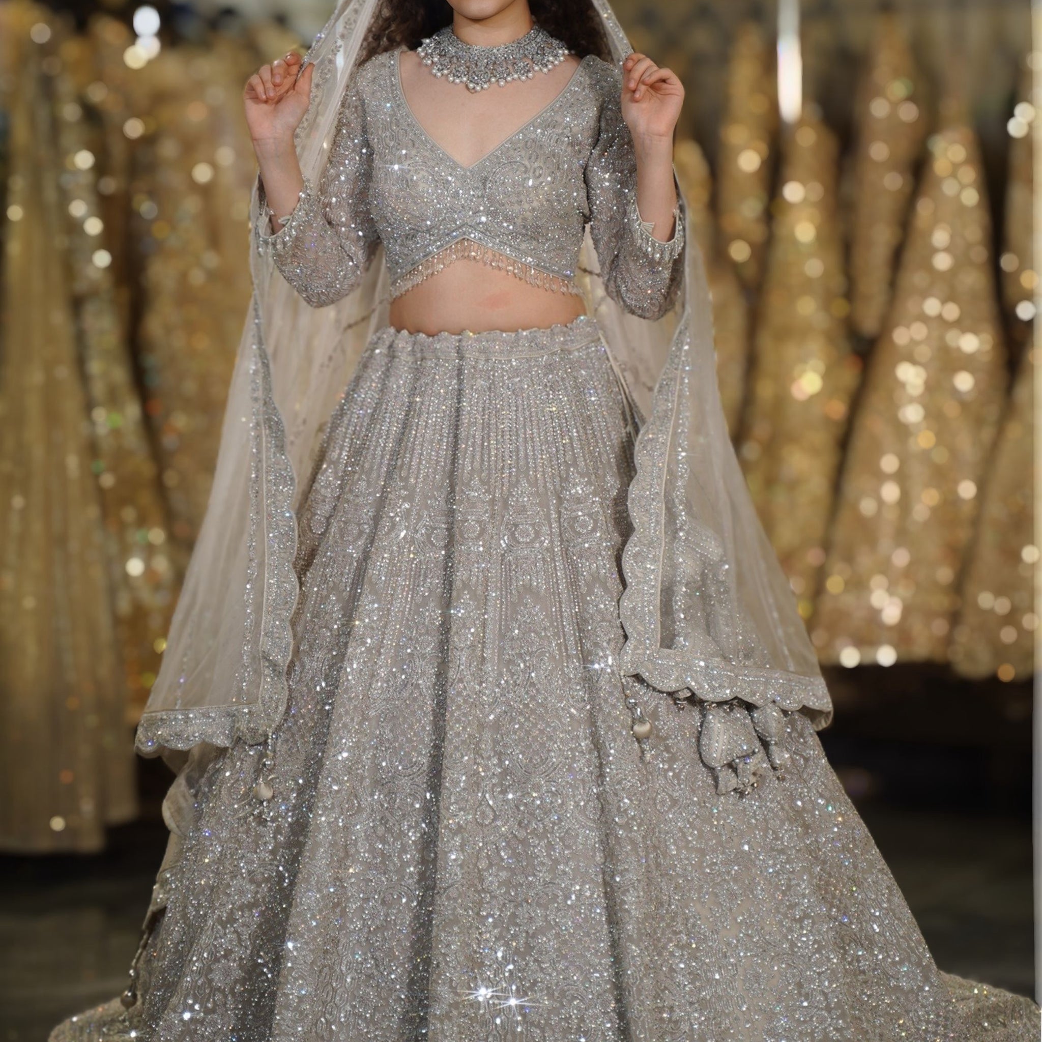 Platinum Silver Crystal & Linear Sequin Embroidered Lehenga Set